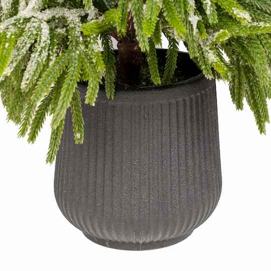 Glitzhome® 4ft. Unlit Frosted Norfolk Pine Christmas Porch Tree with Pinecones